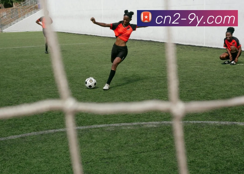 App Interface Preview