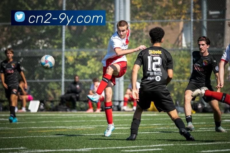 九游官网APP 封面图